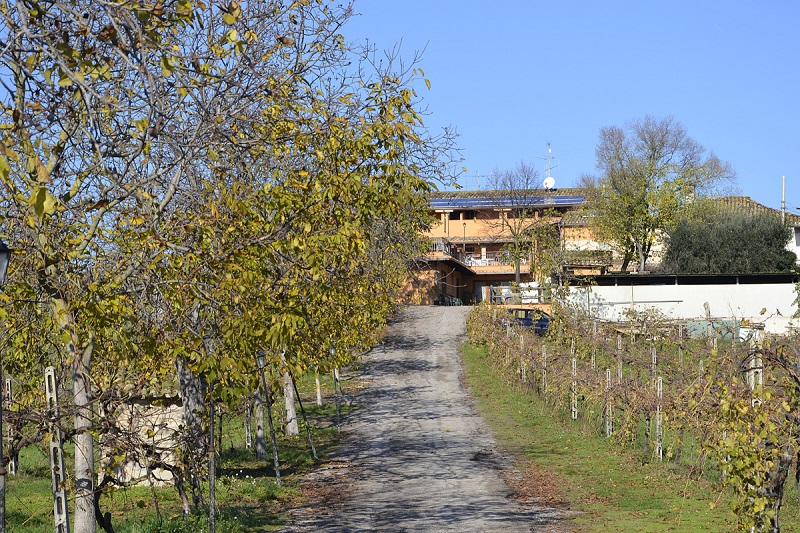 agriturismo gli olmi